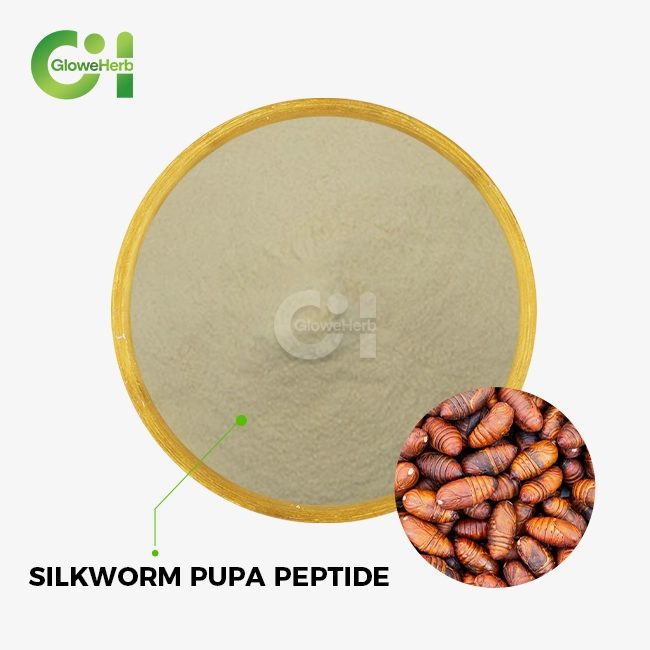 Silkworm pupa peptide